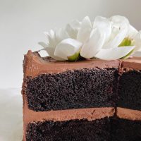a chocolate cake with slice out of it looking at interior crumb